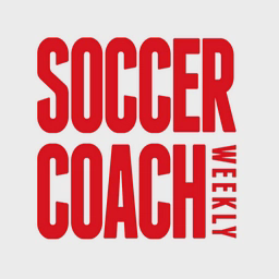 sportsinjurybulletin.com