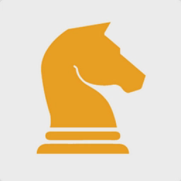 StratWit Solutions logo