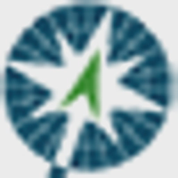TradeWinds Customs Declaration System logo