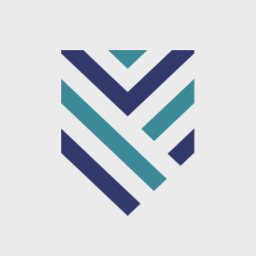 Valent Partners Medical Claims Audit logo