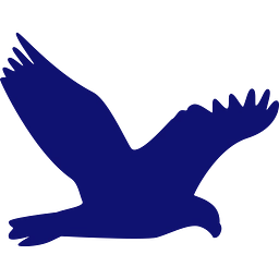 Vigilant Compliance logo