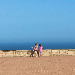 Virtual Fashion AI logo