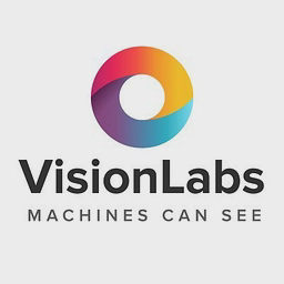 VisionLabs Face SDK logo