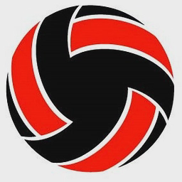 Volleymob logo