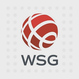 worldservicesgroup.com